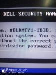 DELL.jpg